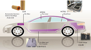 尊时凯龙·Z6(中国区)人生就是拼搏!