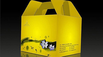 尊时凯龙·Z6(中国区)人生就是拼搏!